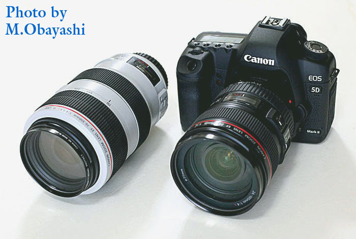 在庫品限り EOS canon 5D iiセット売り可能 MARK デジタルカメラ