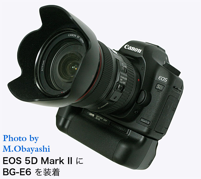 在庫品限り EOS canon 5D iiセット売り可能 MARK デジタルカメラ